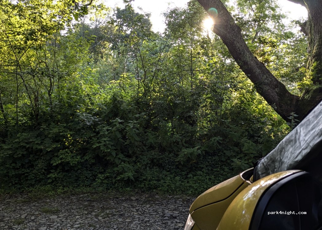 Cefn Coed camping — foto