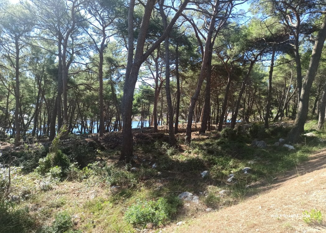 (51550) Mali Lošinj - 17 Ulica Mije Mirkovića — foto 2
