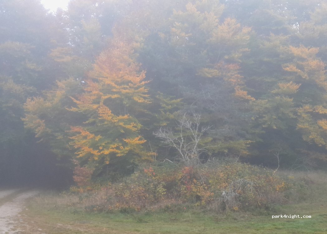 (43170) Saugues - — foto 5