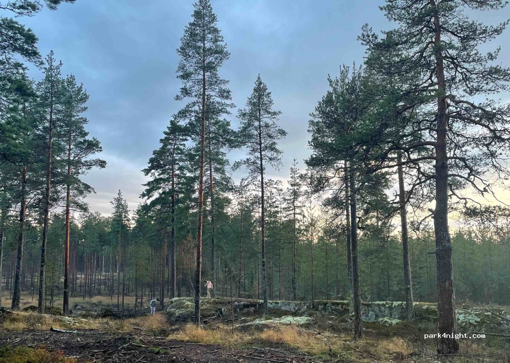 (06950) Porvoo - 78 Norrvikintie — foto