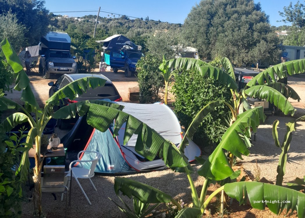 Rustic Vintage Camping — foto 2