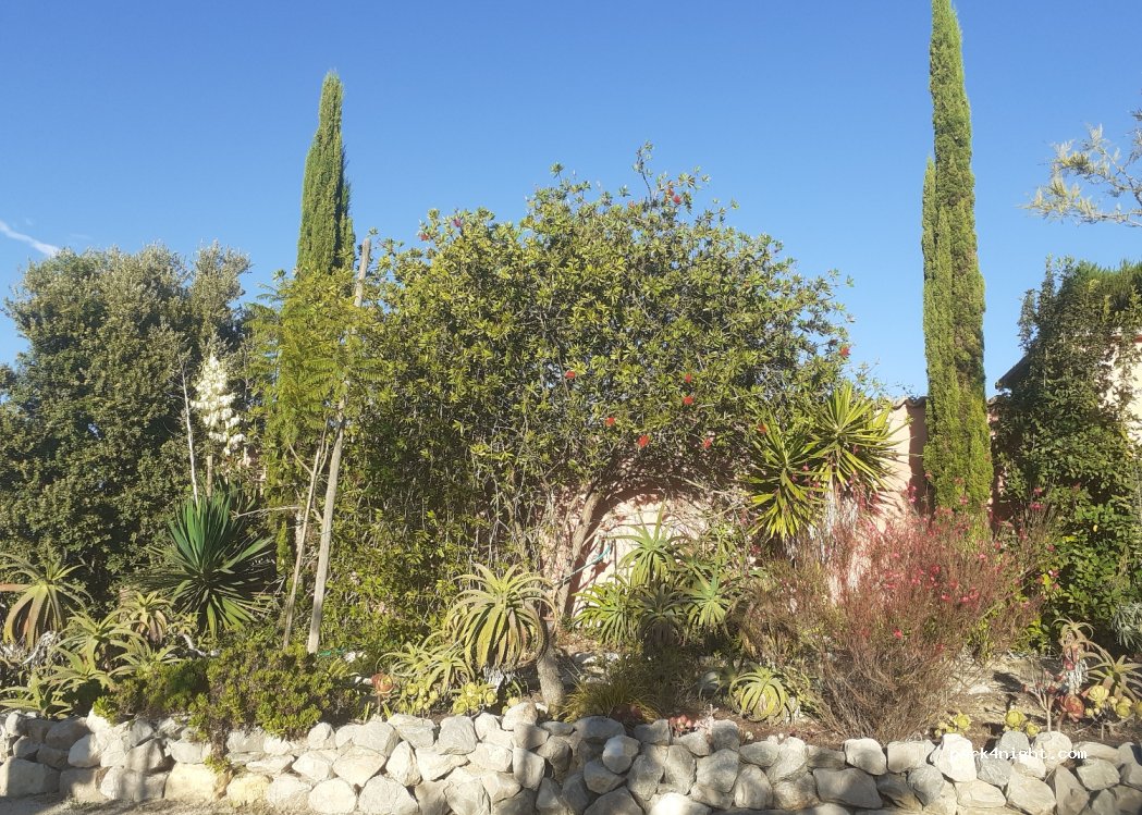 Quinta Arcadia — foto 2