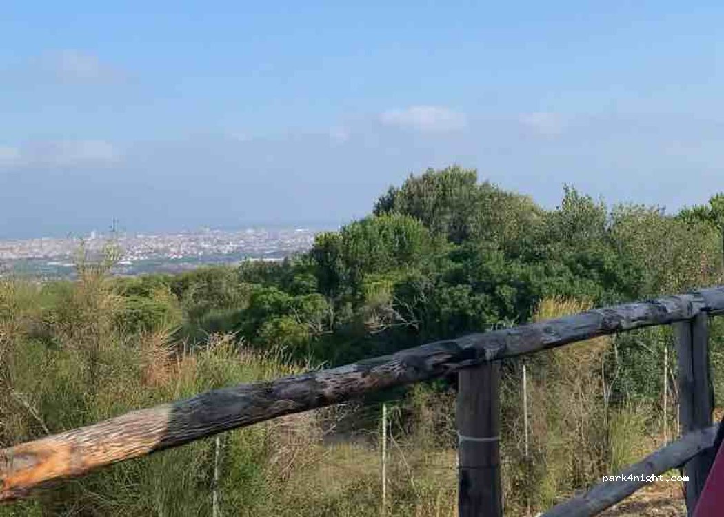 (57128) Livorno - SP9 — foto 2