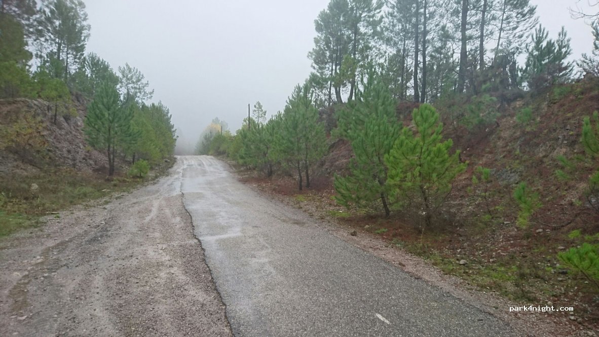 (30140) Anduze - 3170 Chemin de Saint-Hippolyte-du-Fort À Anduze — foto