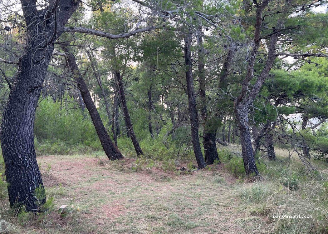 (23242) Podgradina - — foto