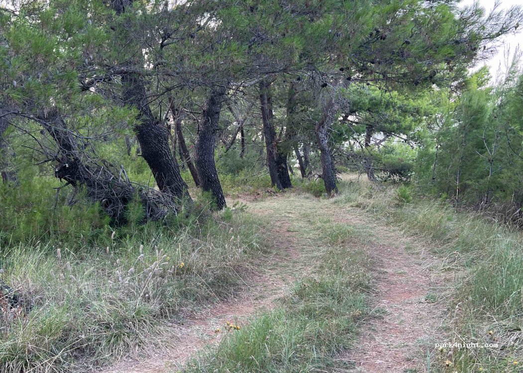 (23242) Podgradina - — foto 2