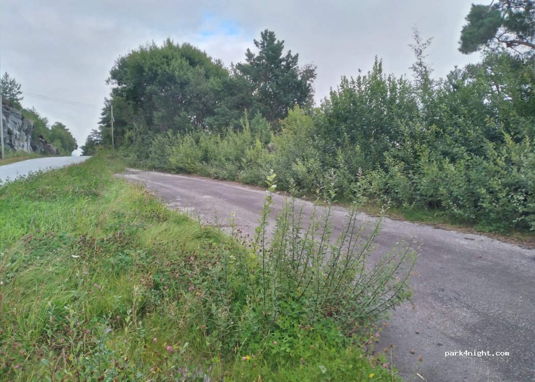 (5643) Strandvik - 16 Furekamben — foto 2