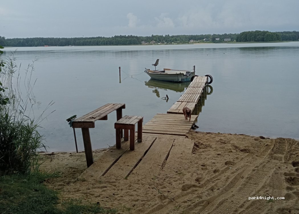(78-446) Dąbrowica - 75 Lipowa — foto