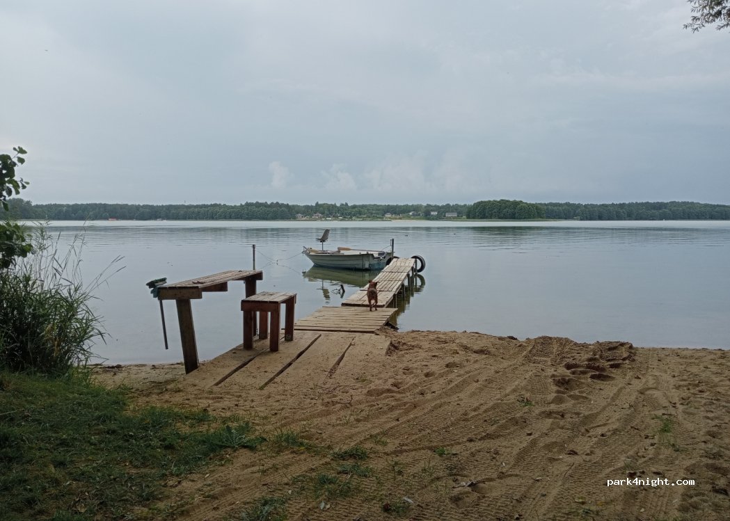(78-446) Dąbrowica - 75 Lipowa — foto 3