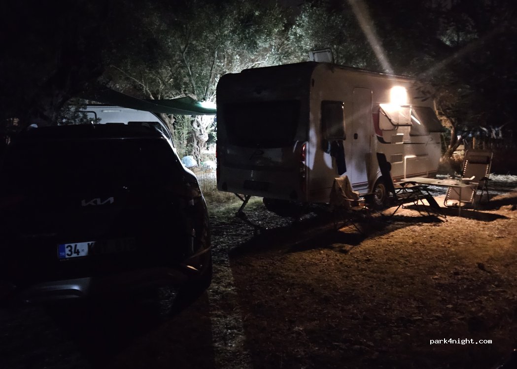 Olivia Karavan — foto 4
