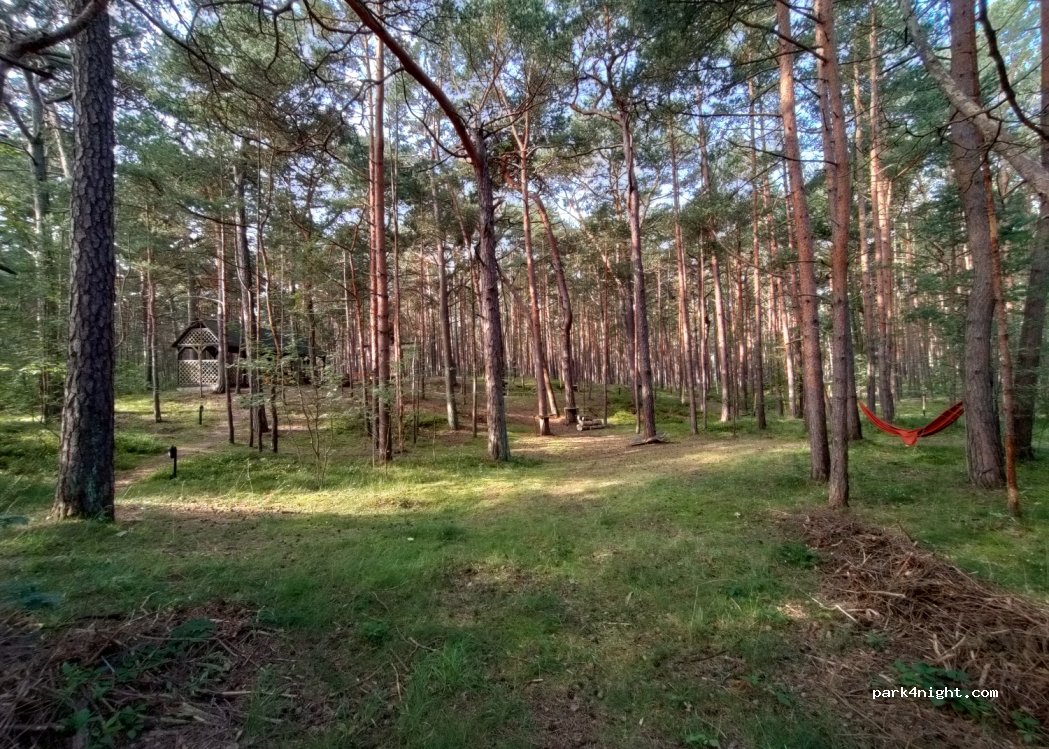 Wydmy Helskie — foto 3