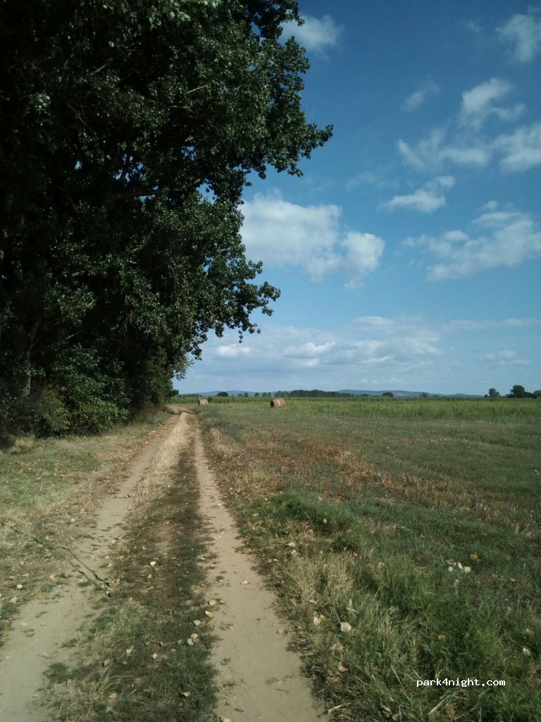 (82800) Bioule - 346-1482 Route du Bridou — foto 3