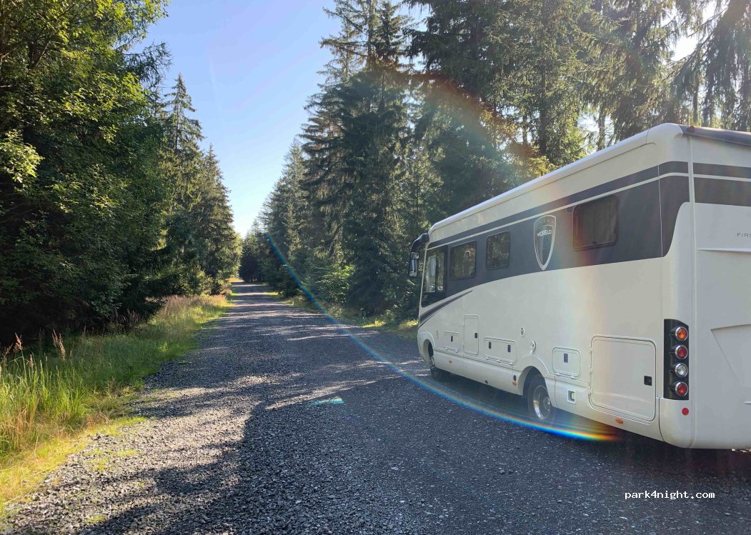 (95100) Martinlamitzer Forst-Süd - Unnamed Road — foto 4