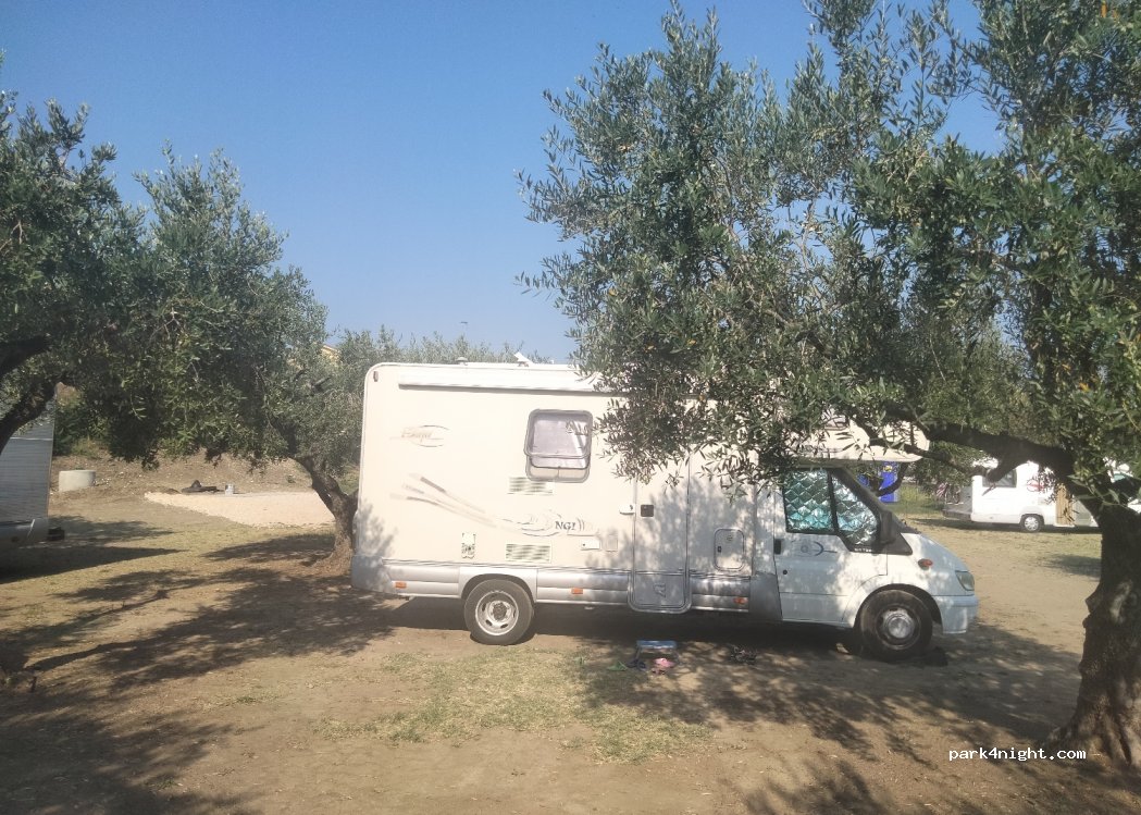 Parcheggio degli ulivi — foto