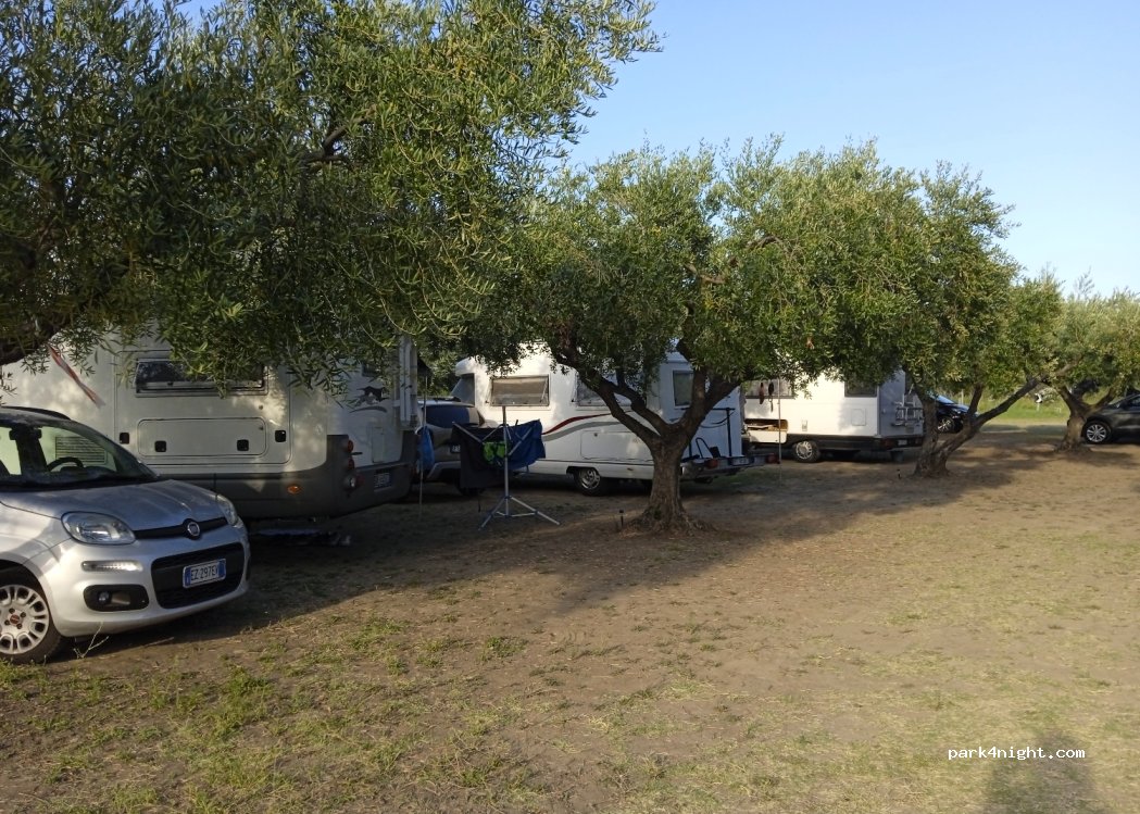 Parcheggio degli ulivi — foto 2