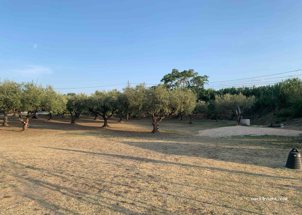 Parcheggio degli ulivi — foto 3
