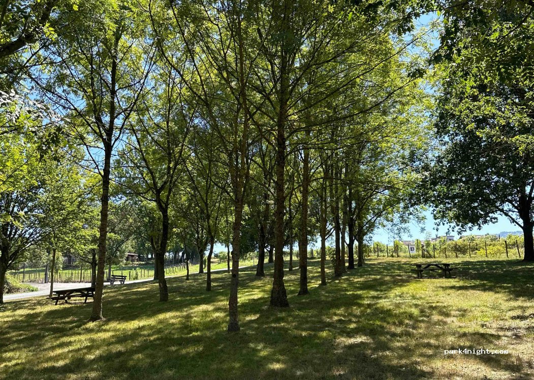 (20212) Olaberria - 6 Gainera Auzoa — foto 2
