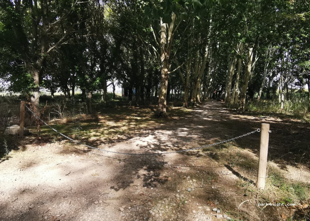 (31390) Olite - 2014 Diseminado Diseminados — foto 2