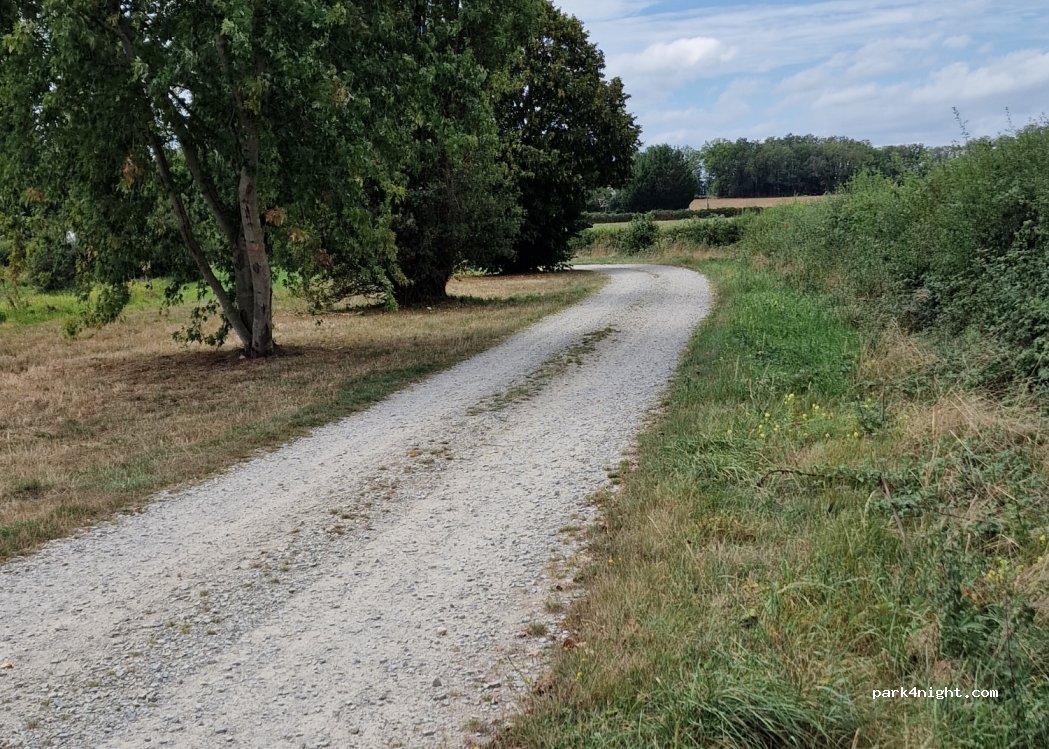 (36160) Sainte-Sévère-sur-Indre - — foto 4