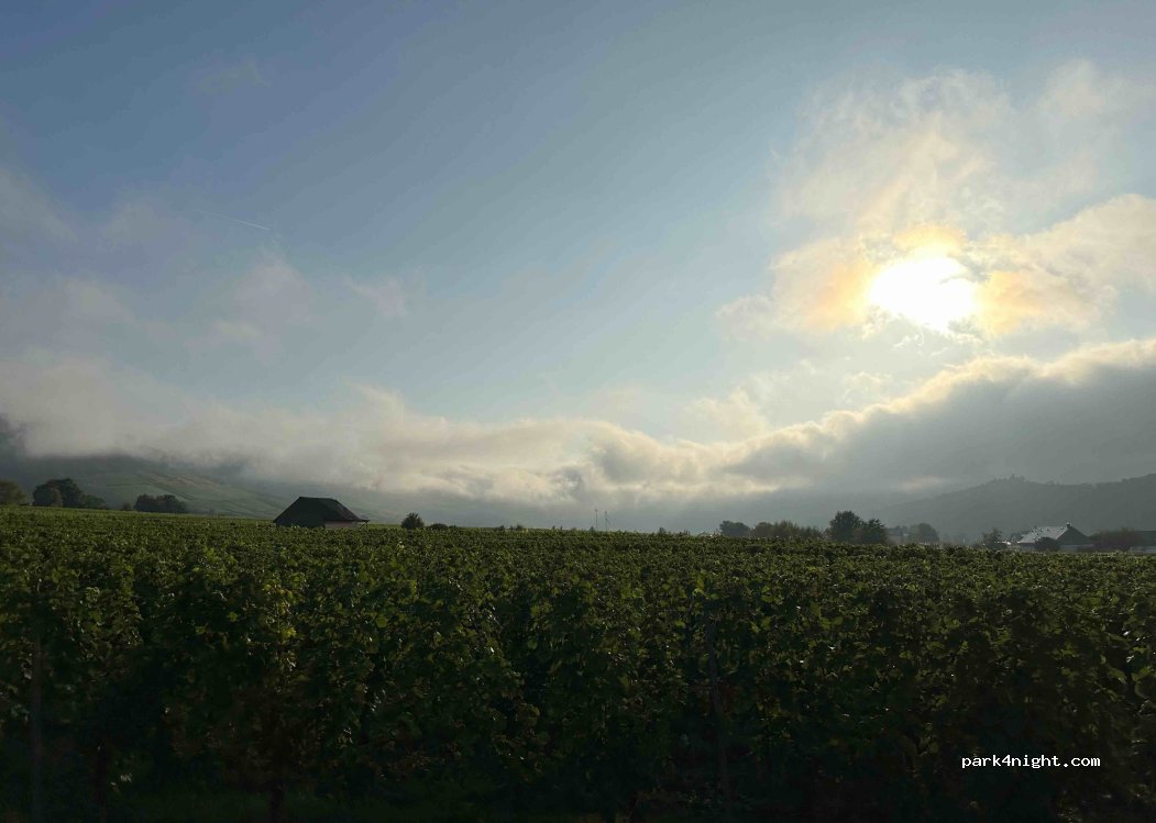 Ferienweingut Wolfgang Adamy — foto
