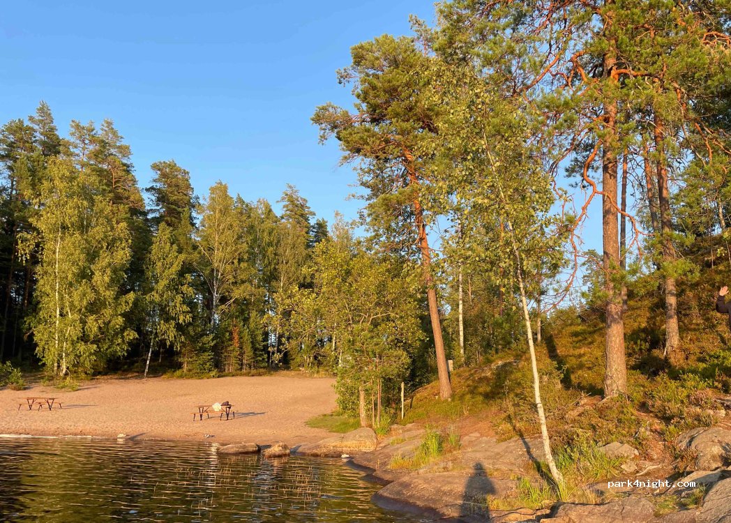 (10600) Grabbskog - — foto 3