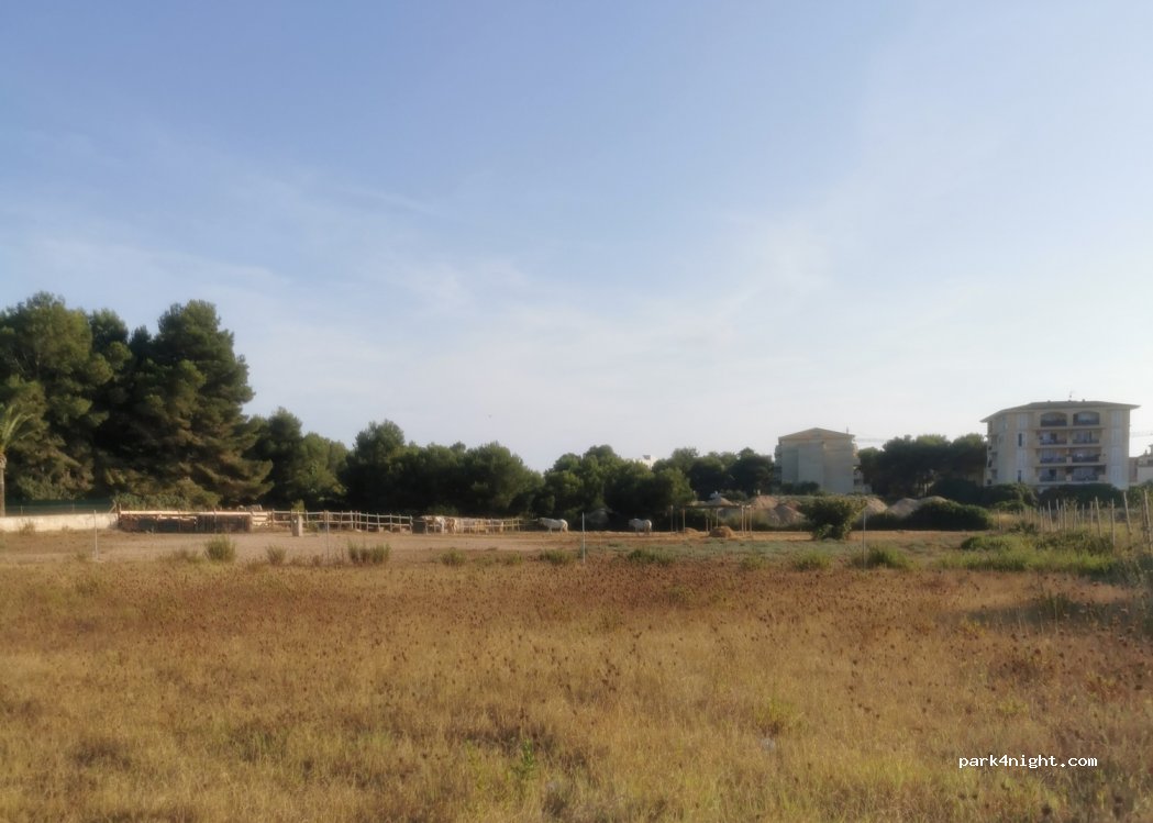 (07560) Cala Millor - 53 Camí de son Moro — foto 2