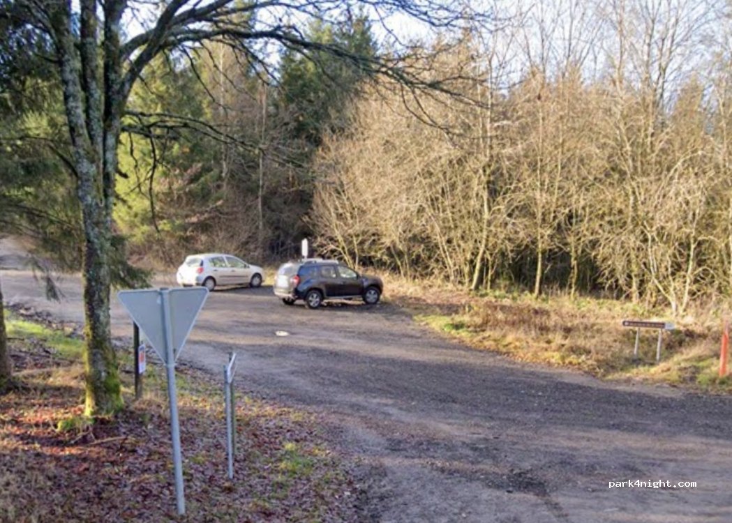 (6690) Vielsalm - 120 Neuville Haut — foto