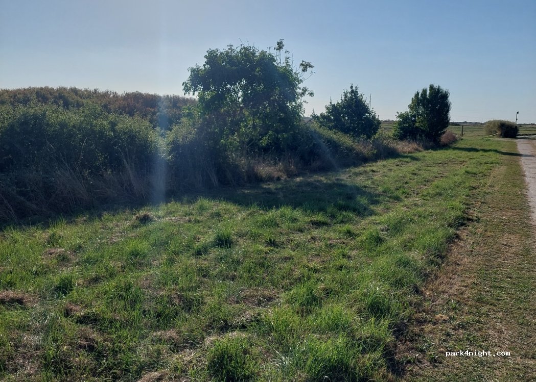 (17320) Marennes-Hiers-Brouage - — foto 3