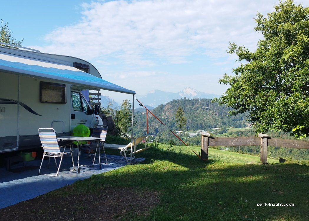 Camping Cane' in Fiore — foto