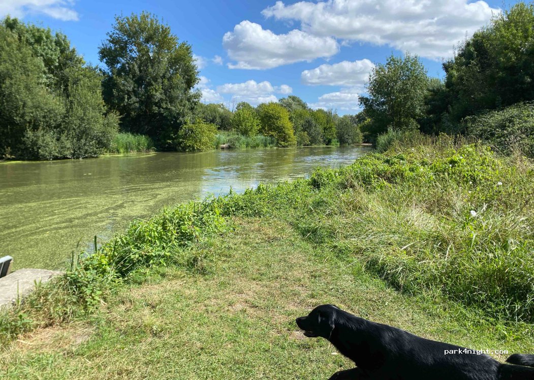 (49800) Brain-sur-l'Authion - 10 Route de Narce — foto 4