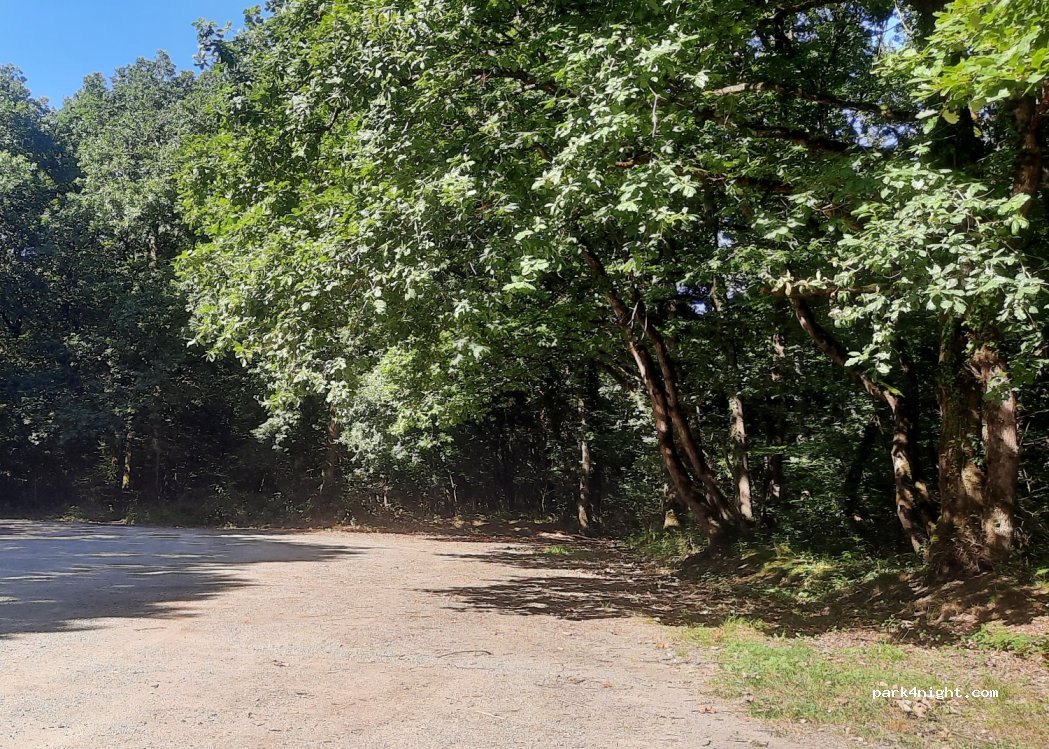 (14220) Grimbosq - La forêt de Grimbosq et attelage — foto