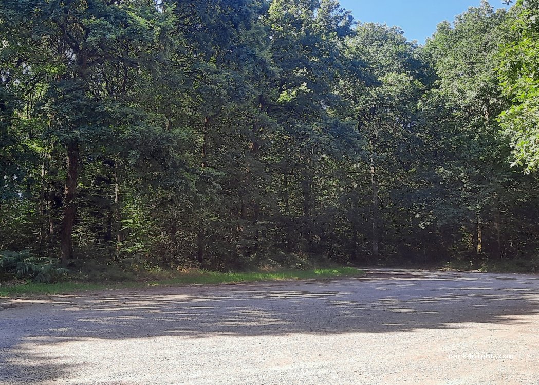 (14220) Grimbosq - La forêt de Grimbosq et attelage — foto 2