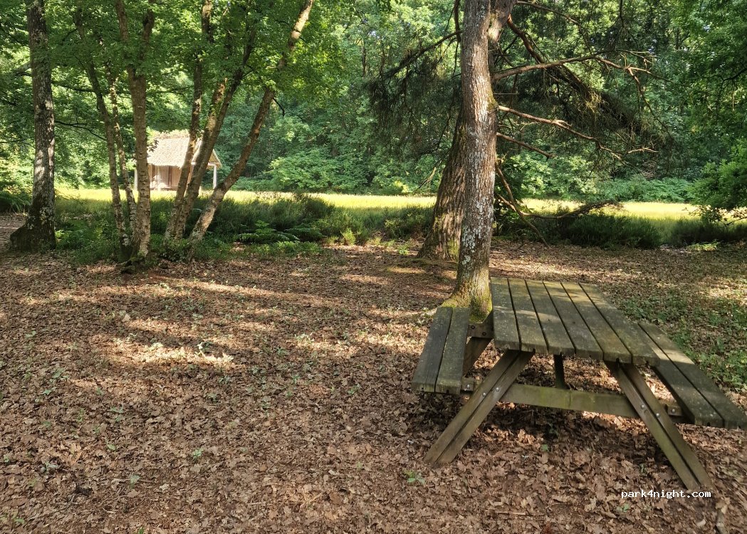 (14220) Grimbosq - La forêt de Grimbosq et attelage — foto 3