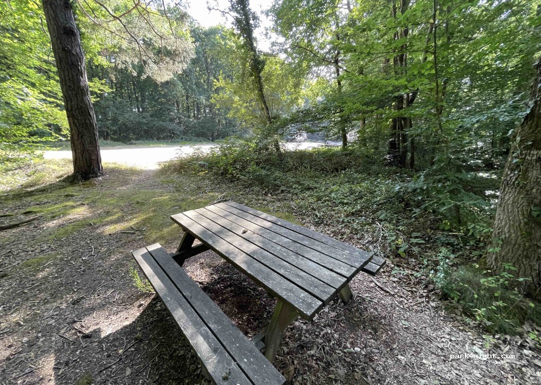 (14220) Grimbosq - La forêt de Grimbosq et attelage — foto 4