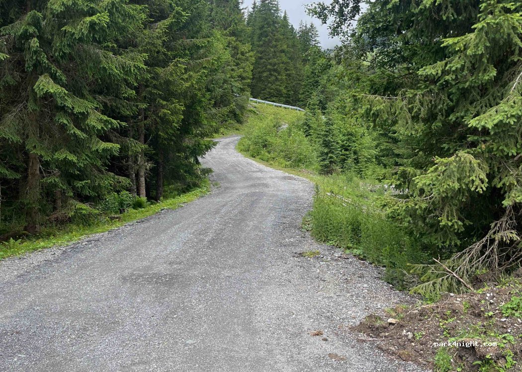 (5742) Wald im Pinzgau - — foto 2