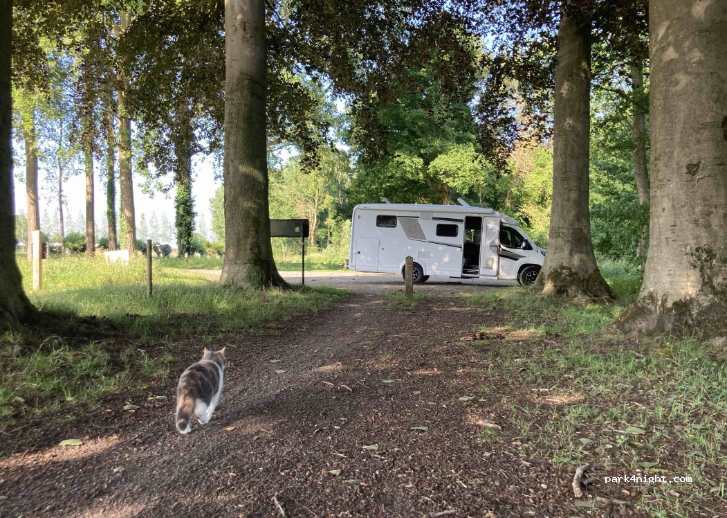 (9160) Lokeren - 12-11 Kruiskapeldreef — foto 3
