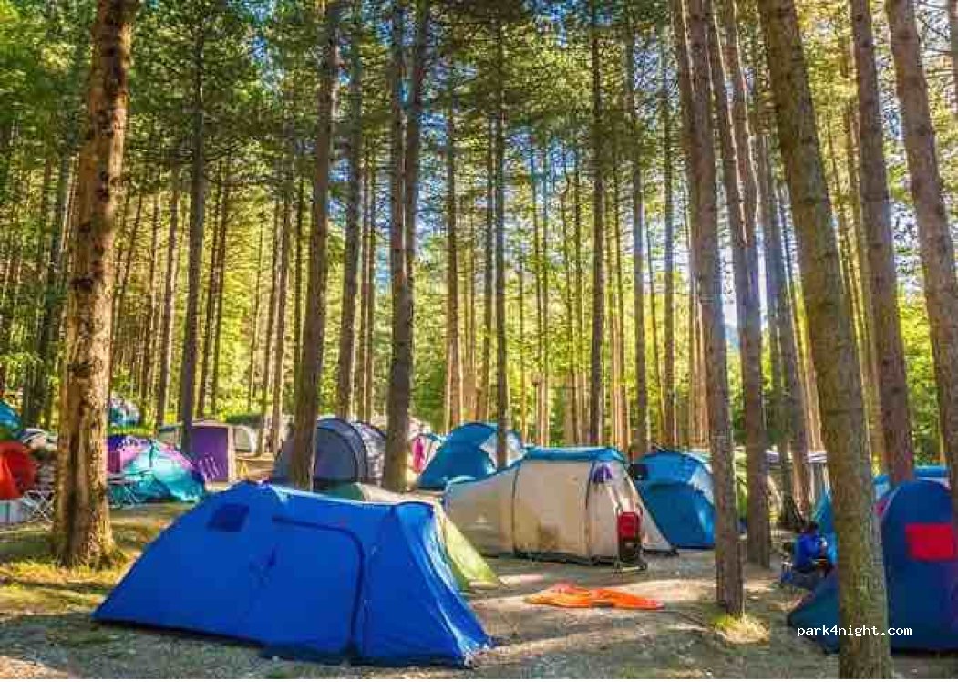 Camping il Cippo — foto