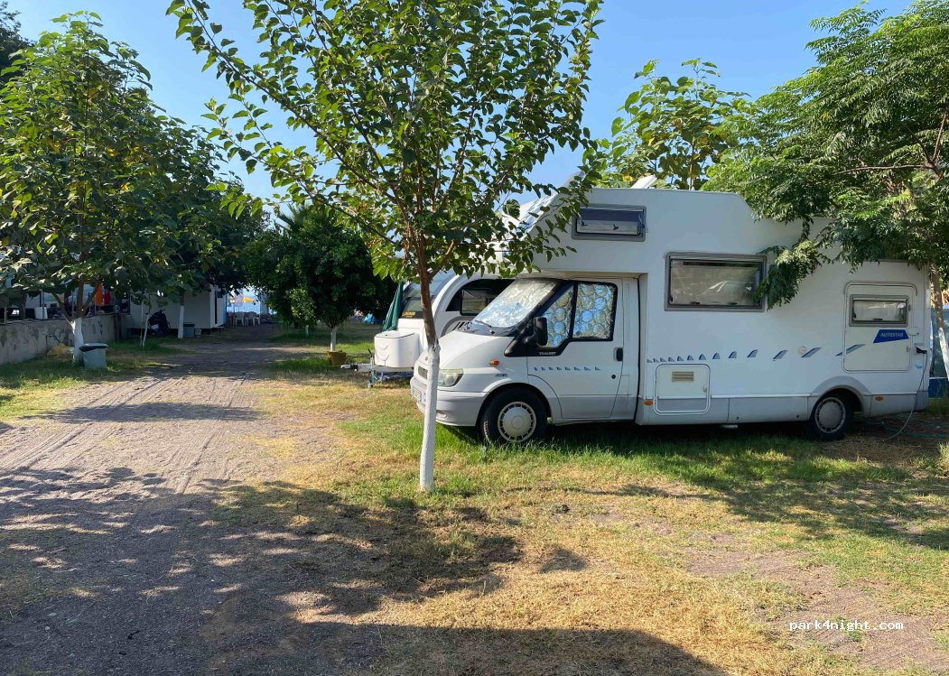 PAVLONYA CAMPSITE — foto