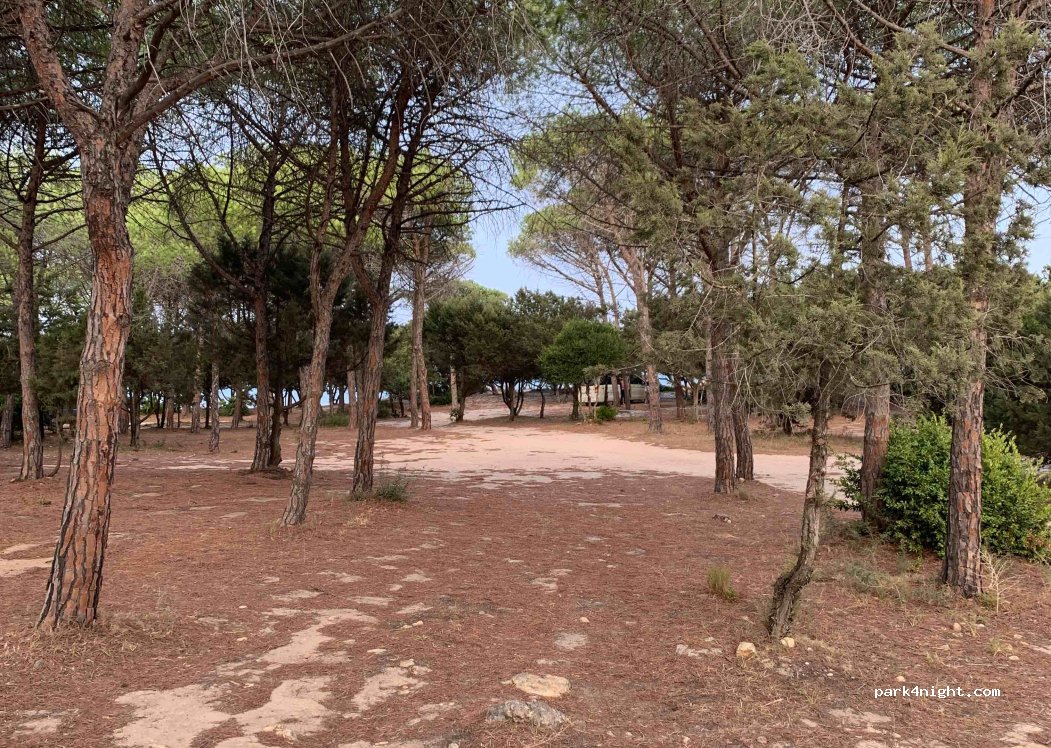 (08028) Cala Liberotto - lungomare di Sa Curcurica — foto 3