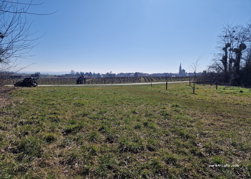 (51220) Brimont - — foto 5