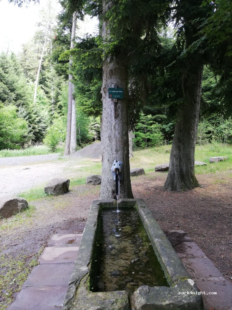 (88110) Raon-l'Étape - 10 Chemin de la Criquette — foto 3