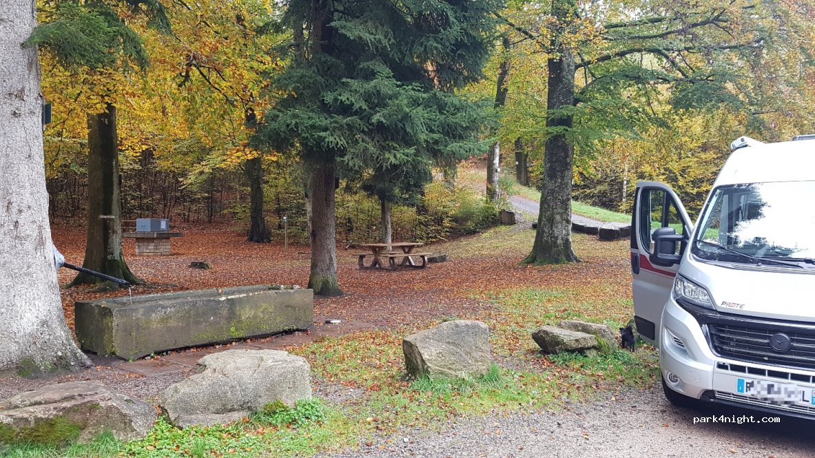 (88110) Raon-l'Étape - 10 Chemin de la Criquette — foto 4