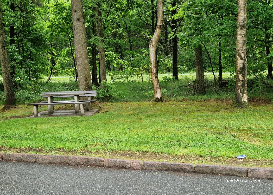 (24791) Alt Duvenstedt - 4 Sorgwohlder Weg — foto 4