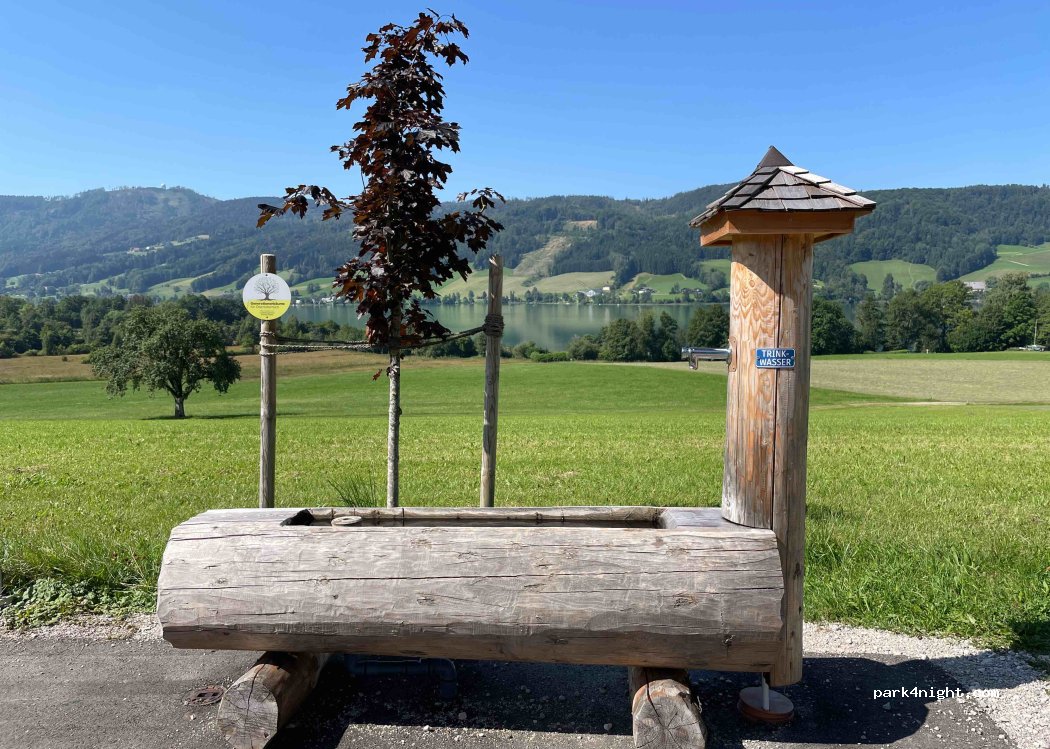 (4893) Zell am Moos - 42 Dorfstraße — foto
