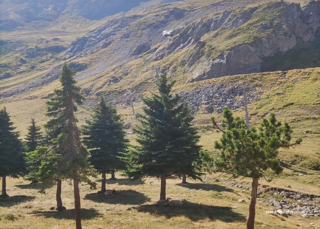 (65120) Gavarnie-Gèdre - — foto 3