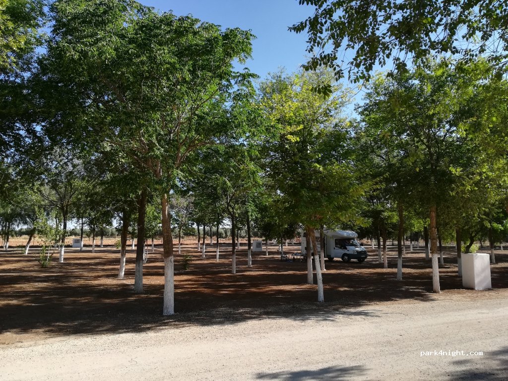 (41630) Lantejuela - SE-700 — foto