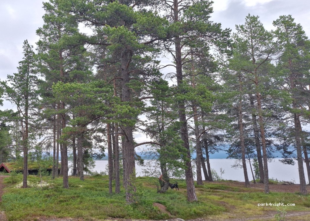 (2448) Buvika - 5281 Kopparleden — foto 4