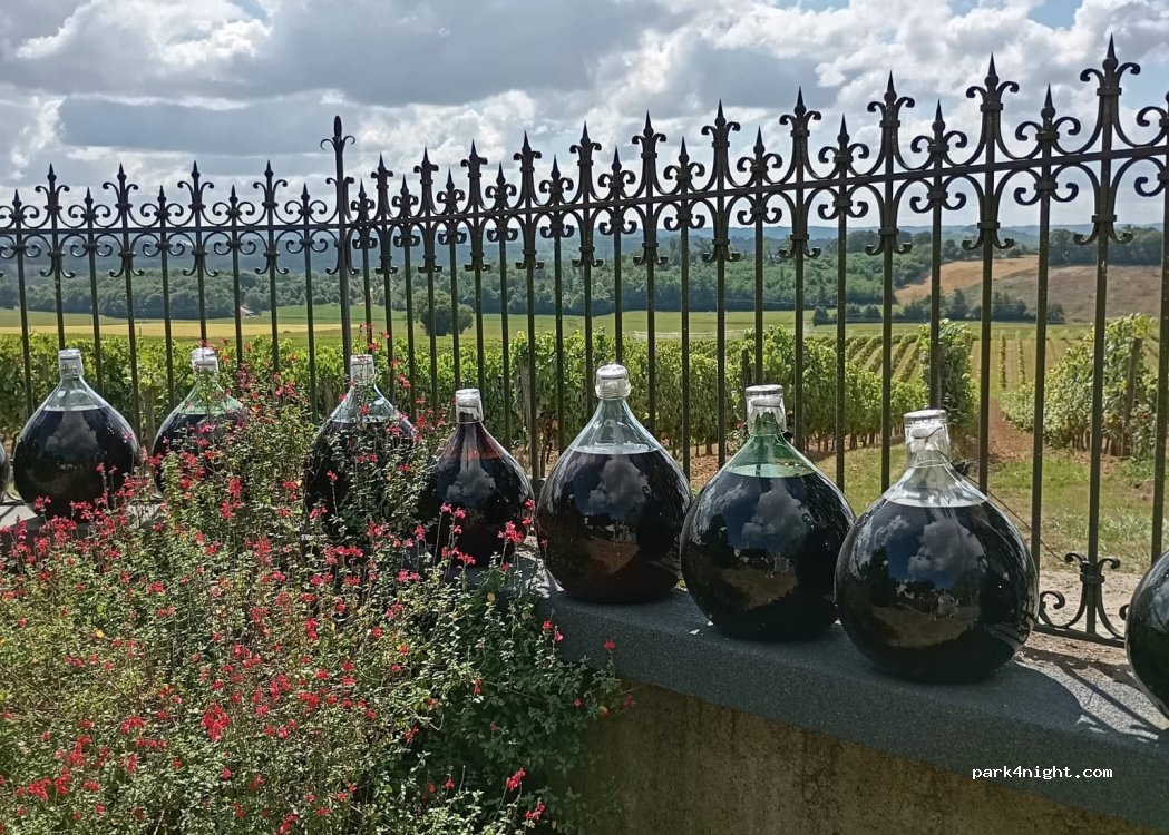 Château Viella — foto 3