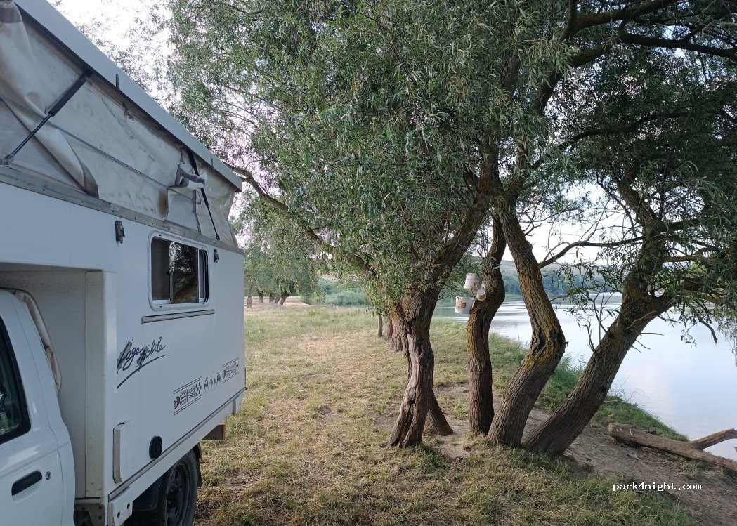 (335404) Cigmău - — foto