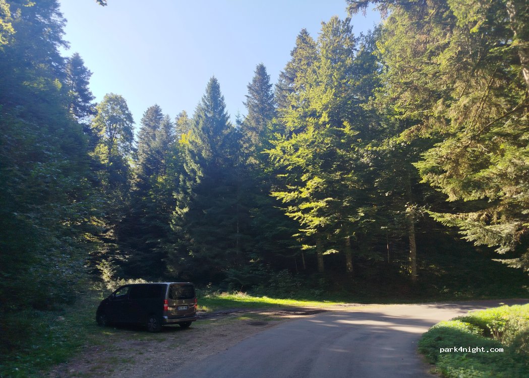 (39150) La Chaux-du-Dombief - Route Forestière du Bois de BAN — foto 2